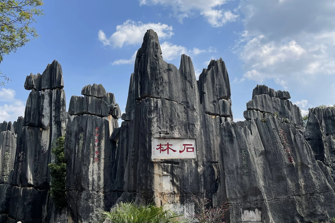 Stone Forest Scenic Area